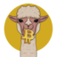 ALPACA