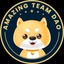 AMAZINGTEAM