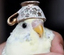BIRB