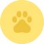 DXCT