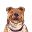 DOGSROCK