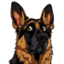 HUND