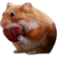 NOMNOM