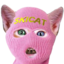 SKICAT
