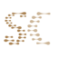 SCT